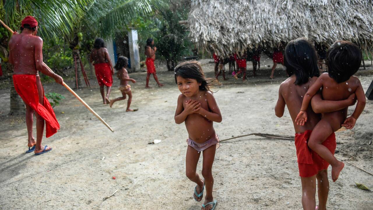 Amazonie : les indiens Waiãpi inquiets face à la menace minière