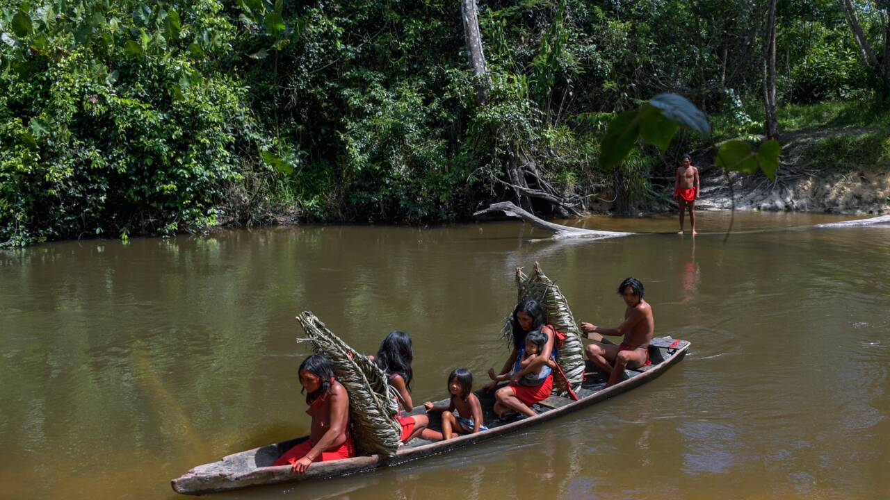 En pleine jungle amazonienne, on trinque au caxiri