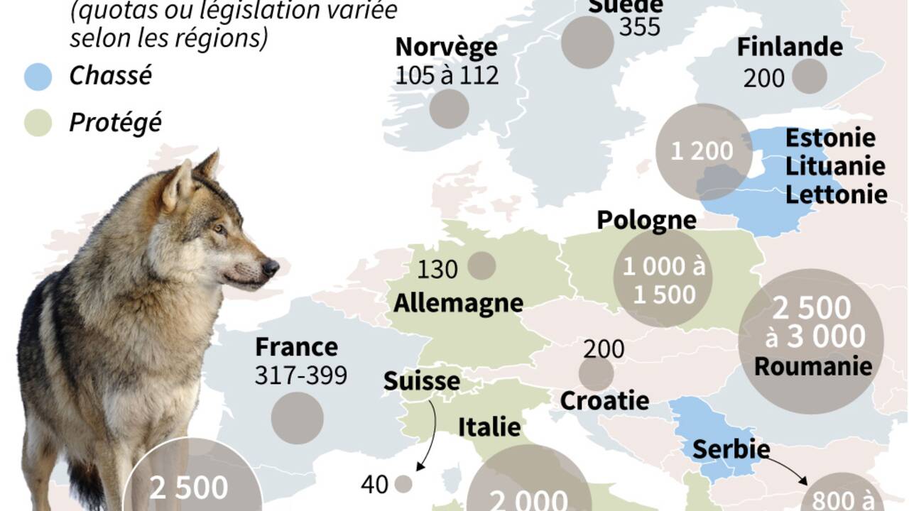 La France en pleine "guerre du loup"