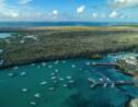 S'adapter pour survivre: science et tourisme sur les pas de Darwin aux Galapagos