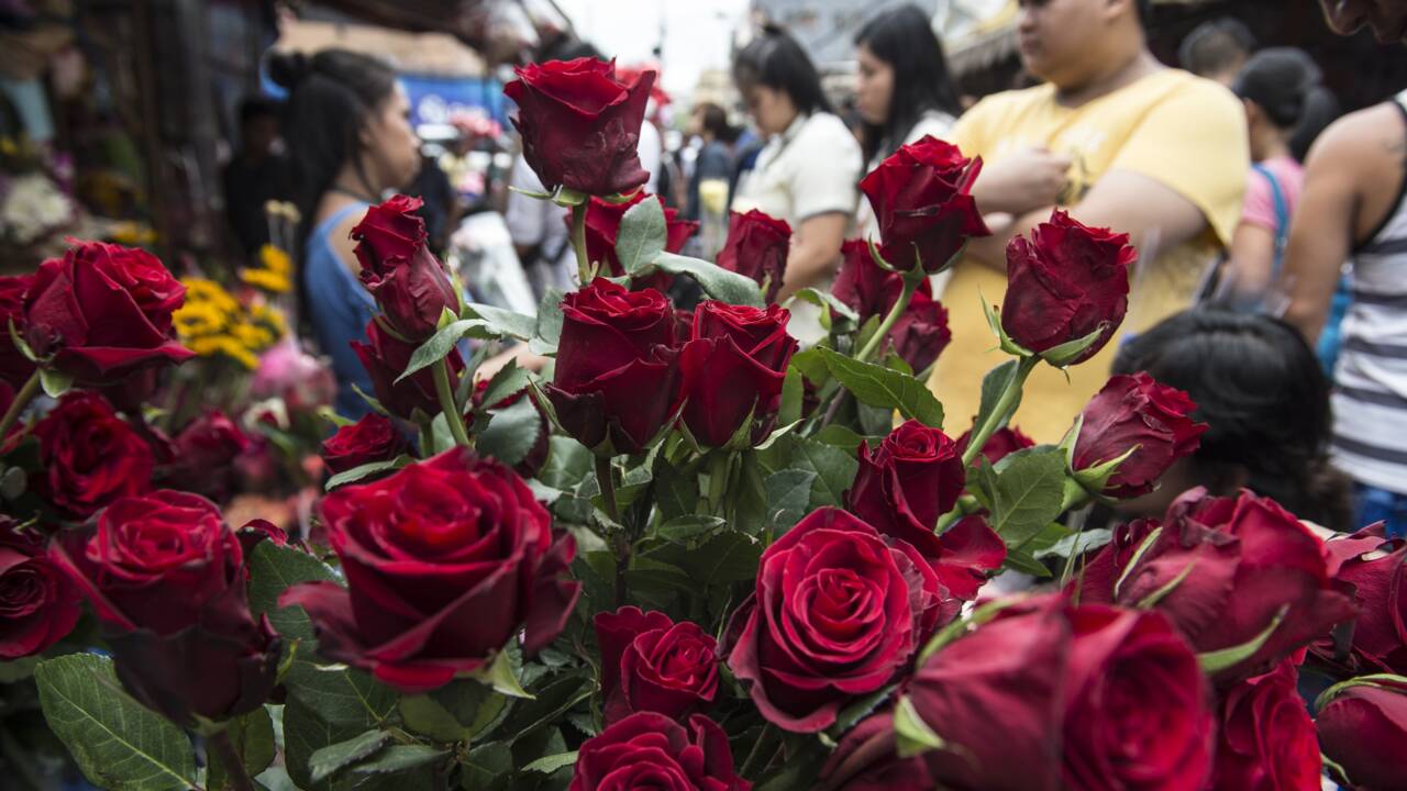 Saint-Valentin: l'important c'est la rose, de préférence équitable