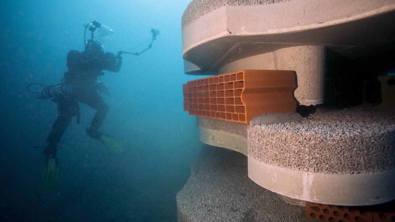 Des récifs artificiels au débouché d'un ancien égout, "l'anus" de Marseille