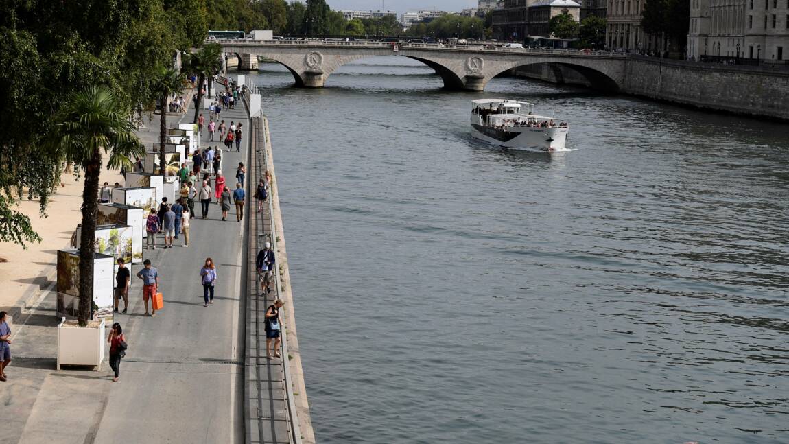 Plus de 10.000 signatures pour des voies sur berge piétonnes à Paris
