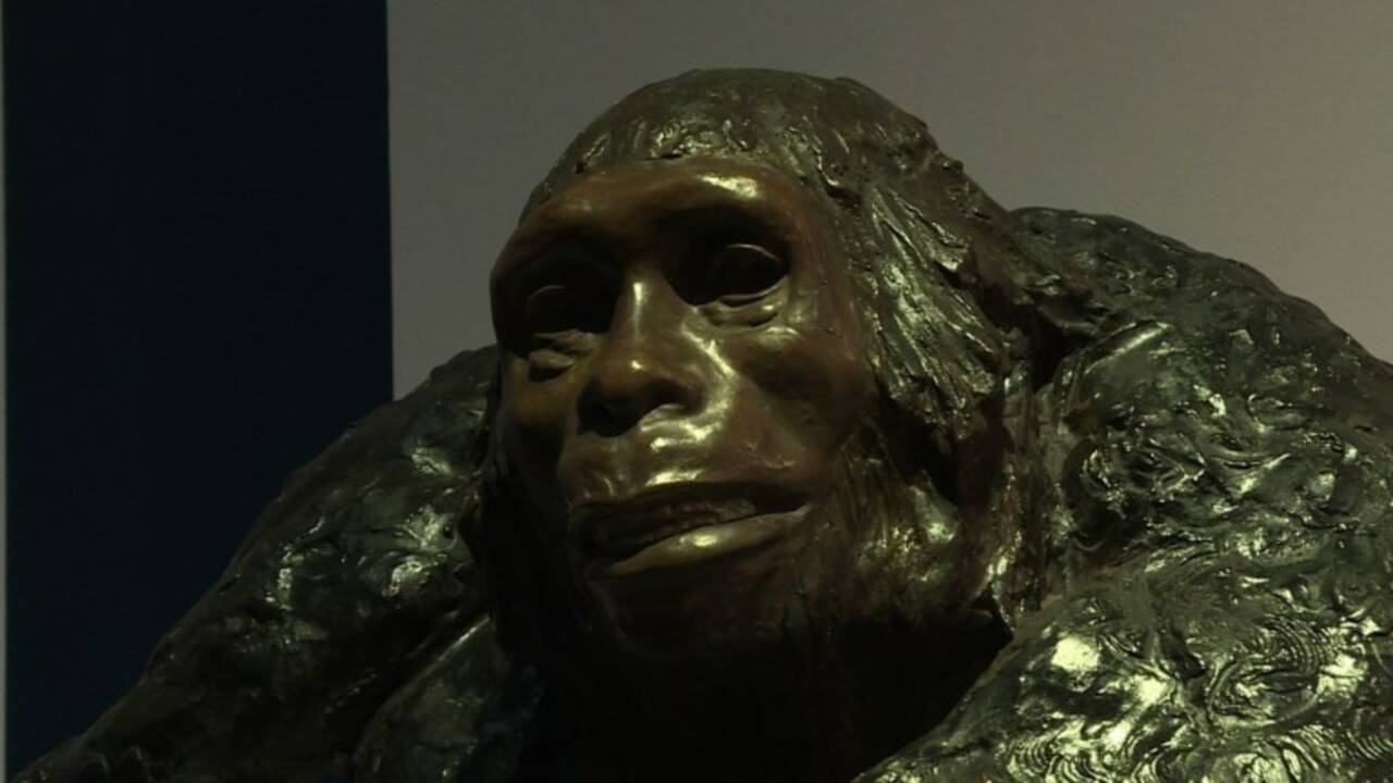 VIDÉO - L'homme de Néandertal, notre cousin pas si lointain