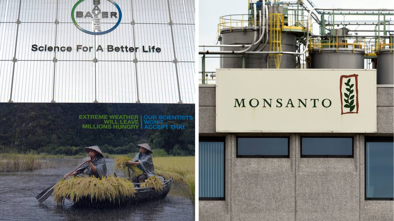 Bayer se déleste du nom Monsanto, symbole décrié de l'agrochimie
