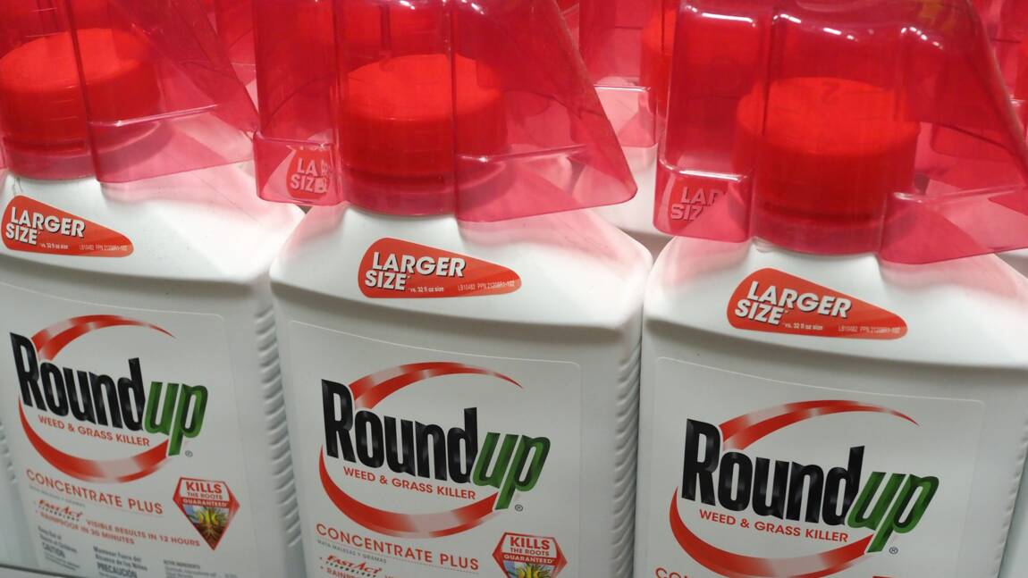Procès Roundup: nouvelle forte réduction des dommages dus par Monsanto