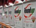 Glyphosate: le Roundup cancérigène ou pas? Un jury américain appelé à trancher