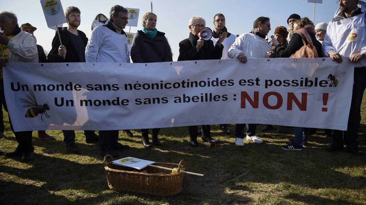 Les pesticides néonicotinoïdes interdits à partir du 1er septembre 2018 en France