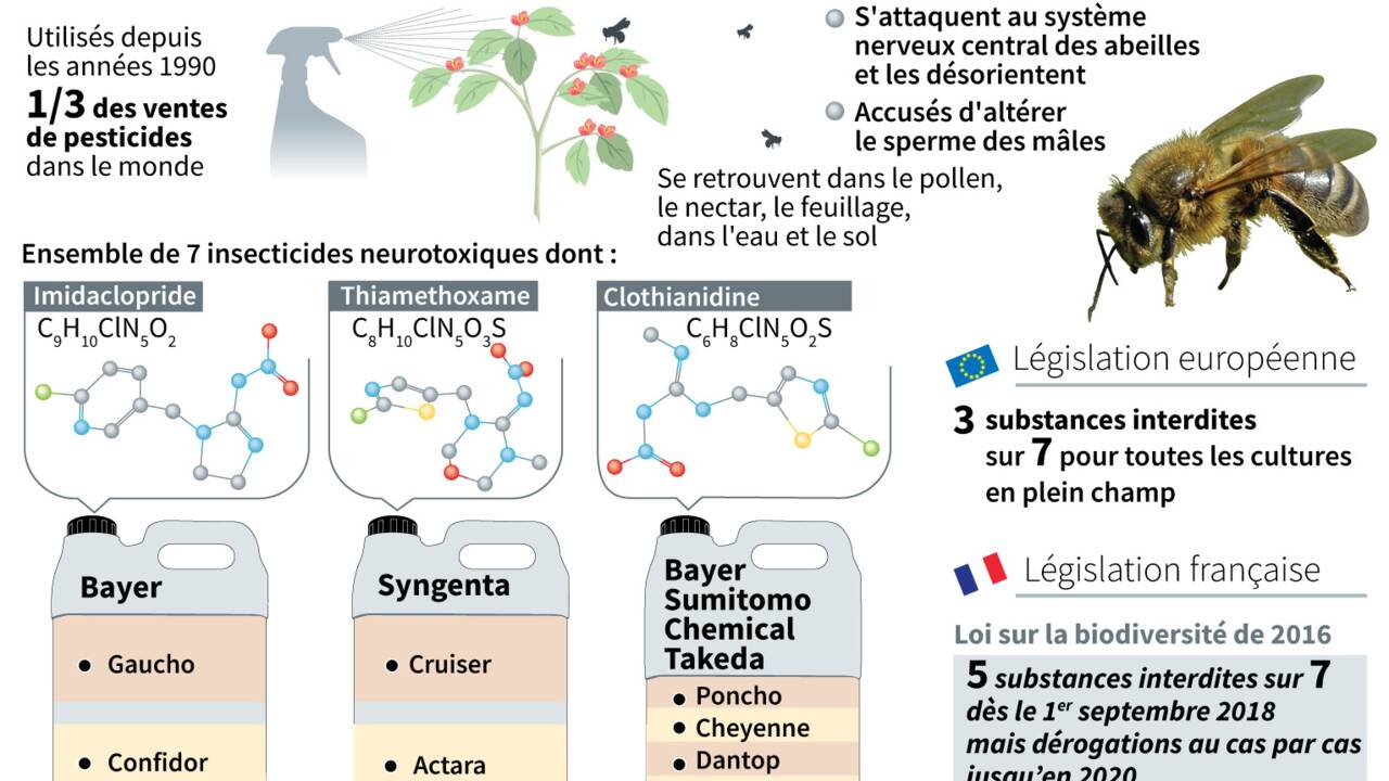 Les pesticides néonicotinoïdes interdits à partir du 1er septembre 2018 en France