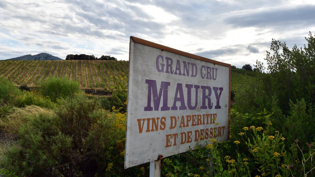 Les Vins doux naturels, spécialité du Roussillon, péril en la demeure ?