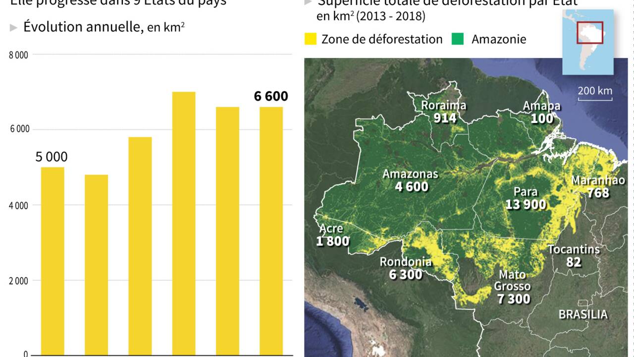 Brésil: Opération coup de poing contre la déforestation