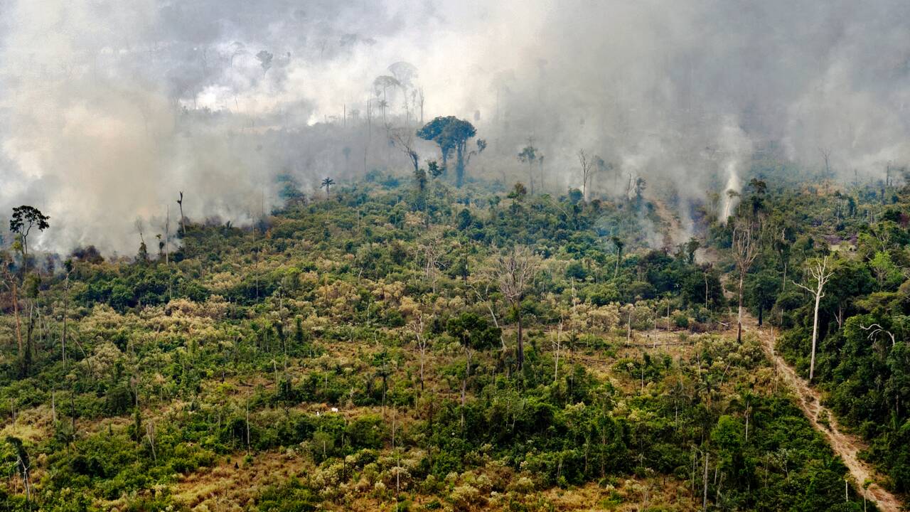 Le Brésil entre en action contre les incendies en Amazonie
