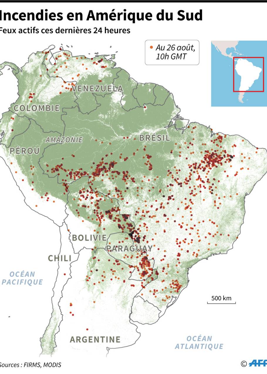 Amazonie: le groupe LVMH donne 10 millions d'euros pour lutter contre les incendies
