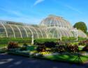 Les jardins de Kew battent le record de la plus grande collection de plantes avec 16900 espèces
