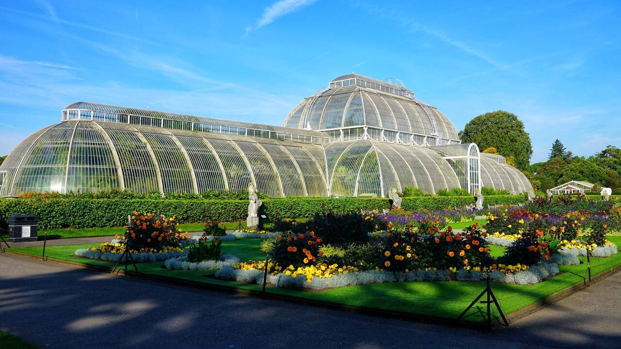 Les jardins de Kew battent le record de la plus grande collection de plantes avec 16900 espèces