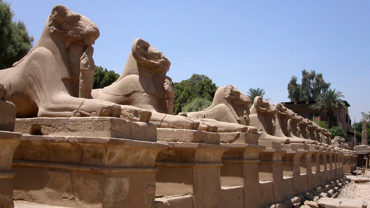 Egypte : l'installation de quatre sphinx antiques au centre du Caire fait
polémique
