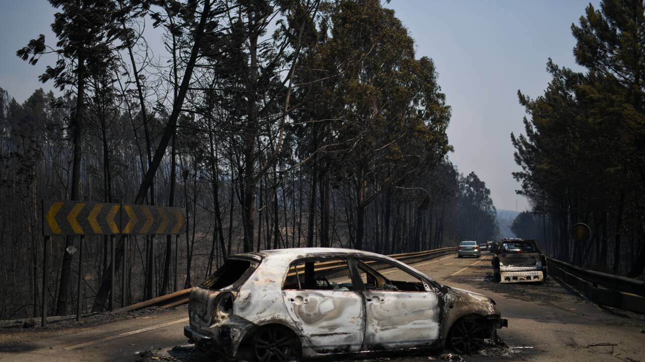 Portugal : poursuites judiciaires sans précédent après un feu de forêt meurtrier