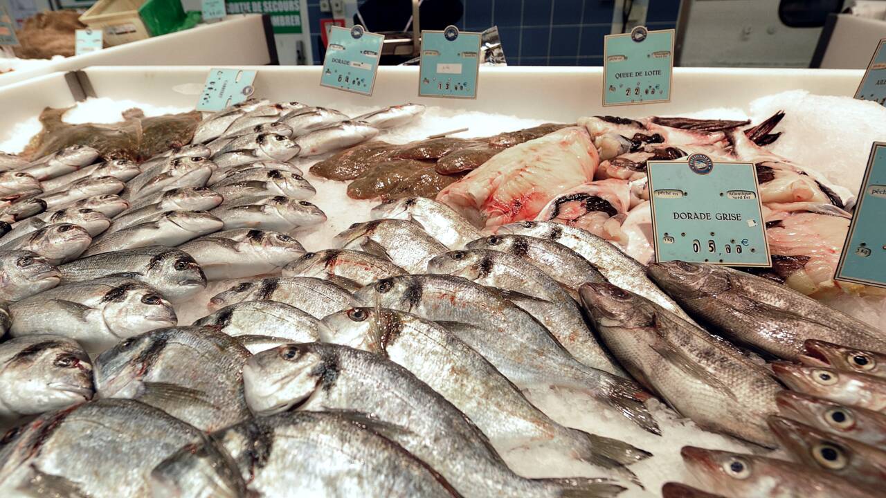 Les consommateurs de poisson n'ont pas encore le réflexe "durabilité"