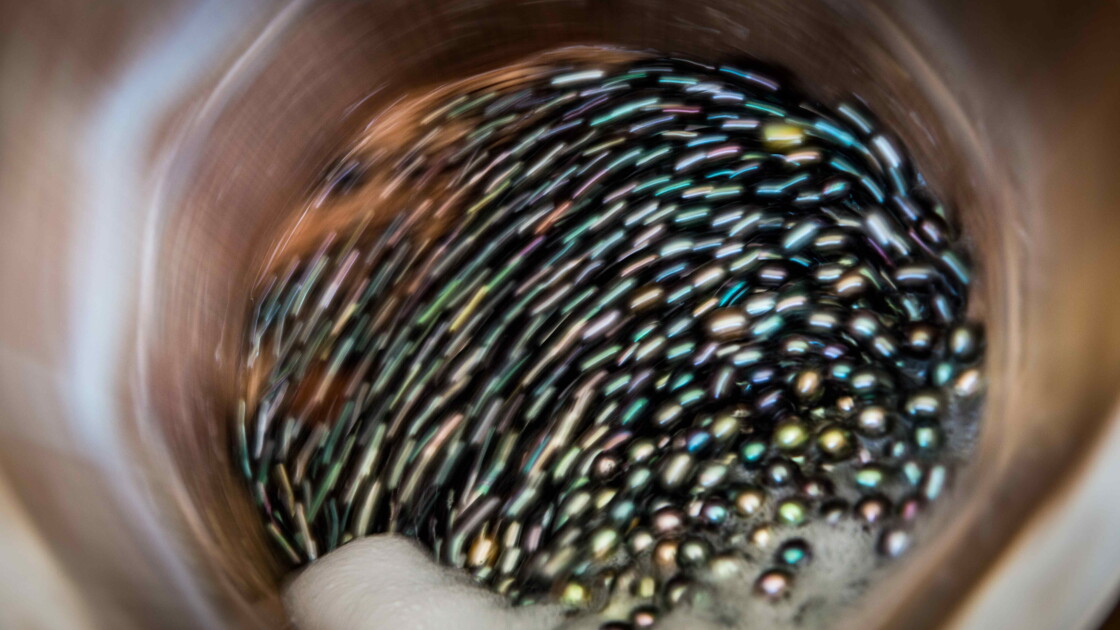 Polynesie La Perle Noire De Tahiti Joyau Des Gambier Geo Fr