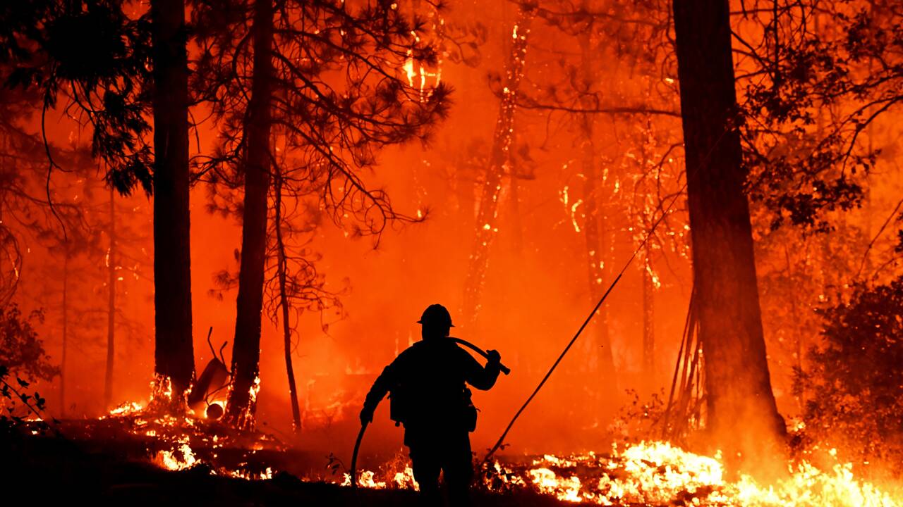 Réchauffement, scarabées et arbres morts: cocktail incendiaire pour les forêts américaines