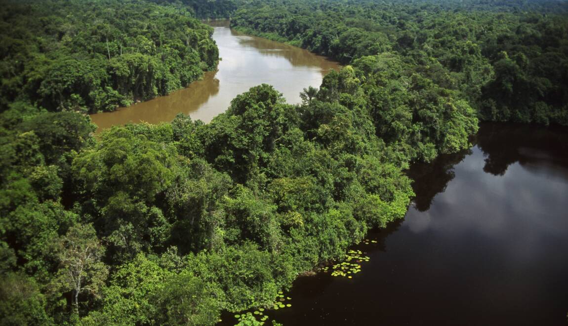 BrÃ©sil : un rÃ©pit pour la forÃªt amazonienne ?
