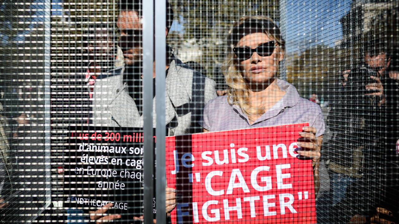 Pamela Anderson en cage pour dénoncer les souffrances animales