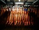 Réduire la consommation de viande pour préserver le climat selon une étude