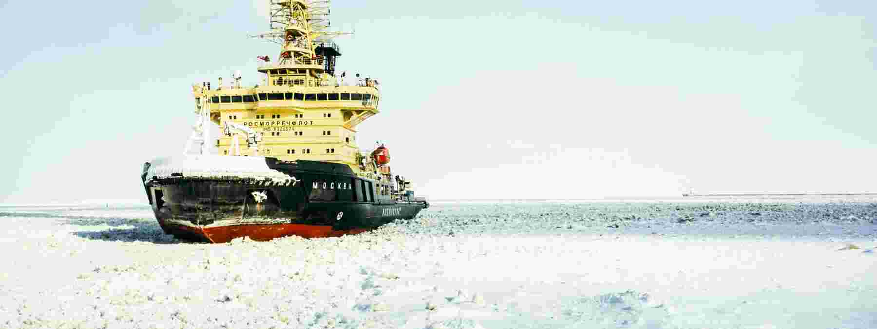 Russie : en Sibérie, la ruée vers l’or gris