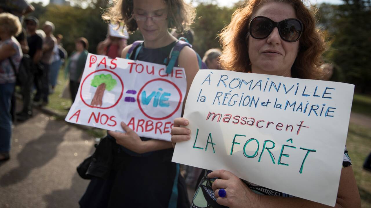 Rassemblement près de Paris pour "stopper" le défrichage d'une vaste forêt urbaine