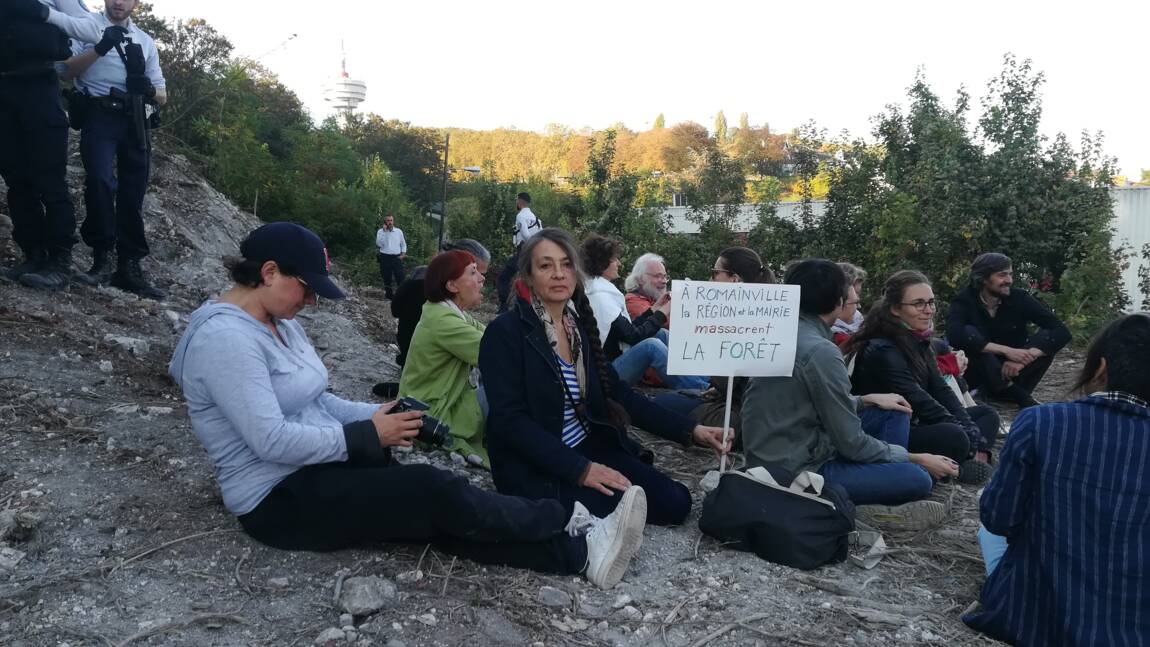 Près de Paris, un sit-in avec Catherine Ringer pour "stopper" le défrichage d'une vaste forêt