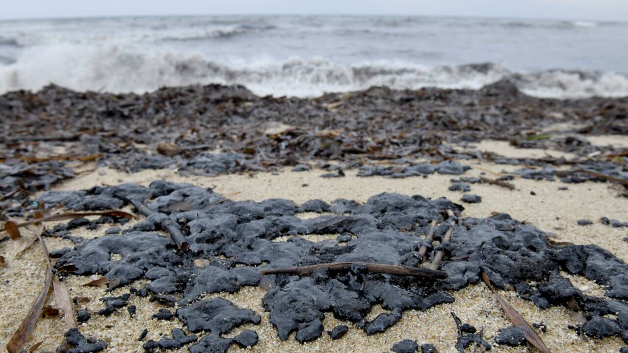Boulettes de pétrole à Saint-Tropez : des filets déployés en mer