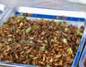 Les insectes, incontournables de la gastronomie thaïlandaise