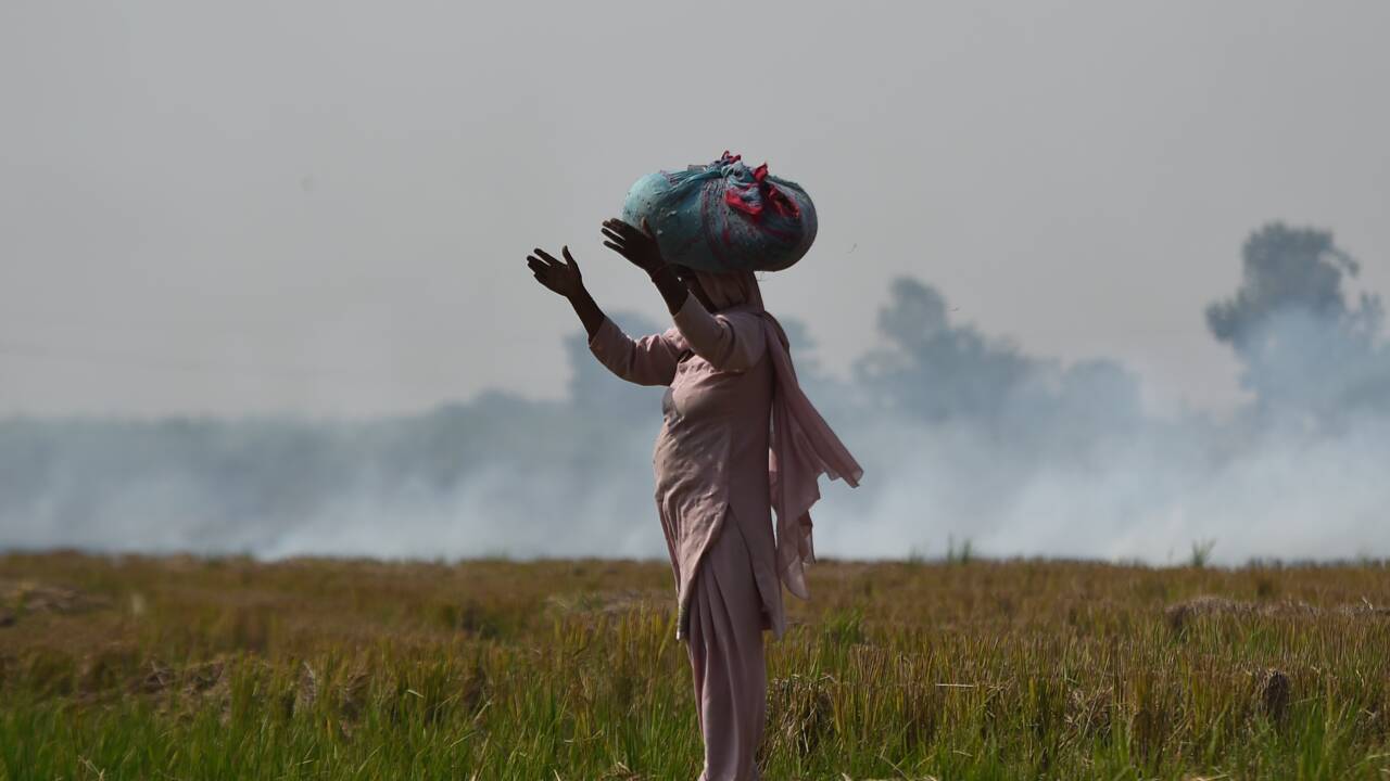En Inde, Delhi tousse avec l'arrivée des brûlis et la saison de la pollution