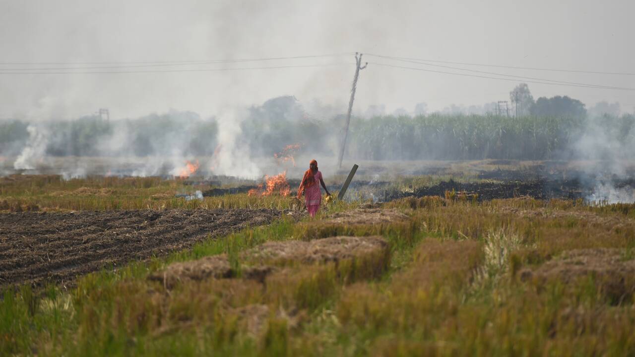 En Inde, Delhi tousse avec l'arrivée des brûlis et la saison de la pollution