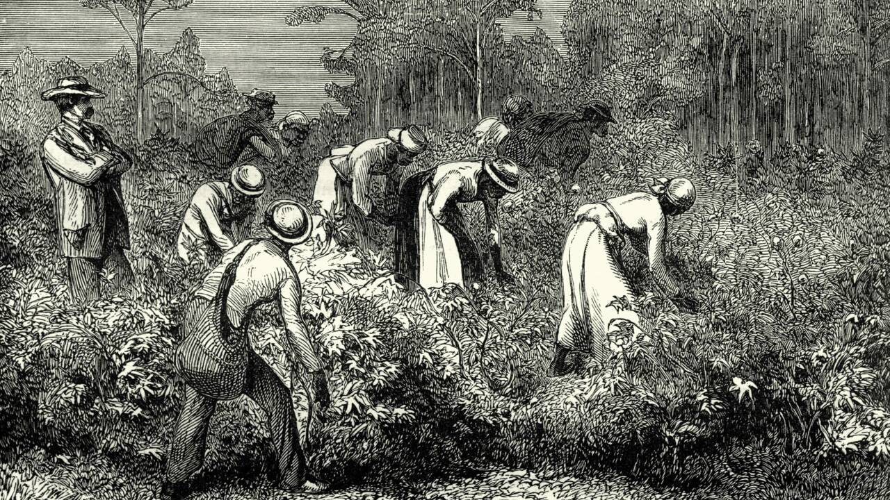 L'Underground Railroad, le réseau clandestin américain qui sauva des esclaves au XIXe siècle