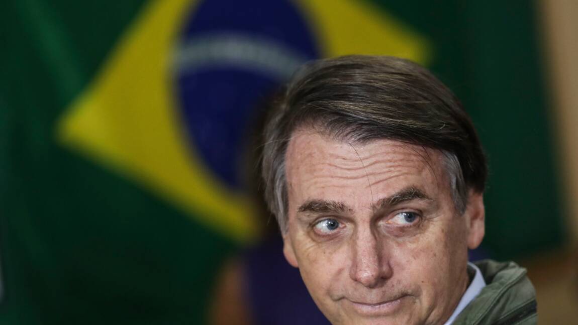 Brésil: Bolsonaro doit protéger l'environnement pour relancer l'économie, selon WWF