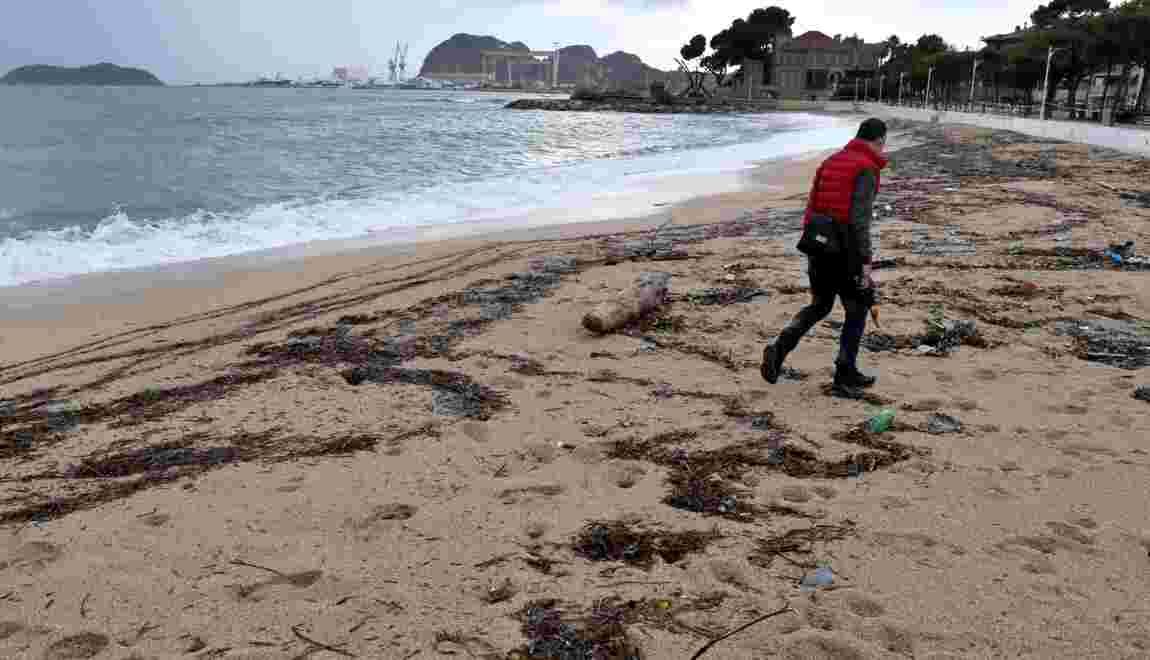 Des Boulettes Dhydrocarbure Sur Des Plages De La Ciotat Et