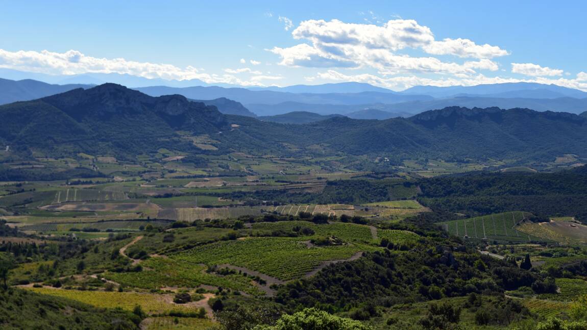 Les Vins doux naturels, spécialité du Roussillon, péril en la demeure ?