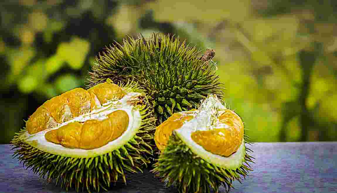 Tout savoir sur le durian, fruit défendu des Asiatiques