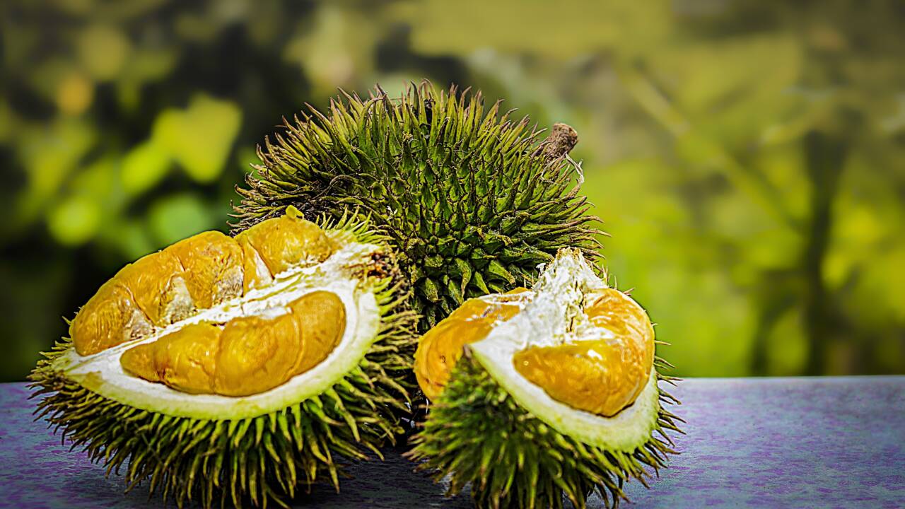 Tout savoir sur le durian, fruit défendu des Asiatiques
