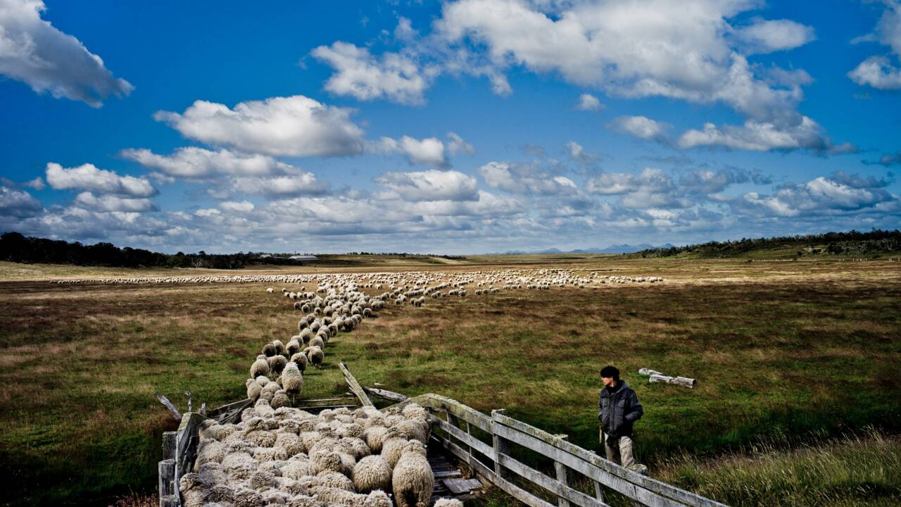 Patagonie : on a partagé le quotidien des cavaliers gauchos en Terre de Feu chilienne