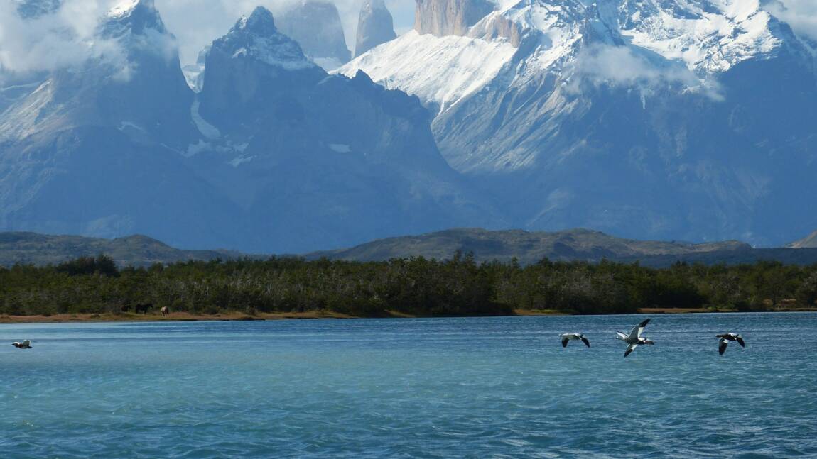 Patagonie chilienne et argentine : nos bons plans et bonnes adresses