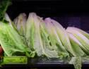 Infectée par une bactérie, la salade romaine bannie des assiettes américaines