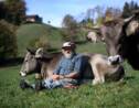 La Suisse dit non au soutien des "vaches à cornes"