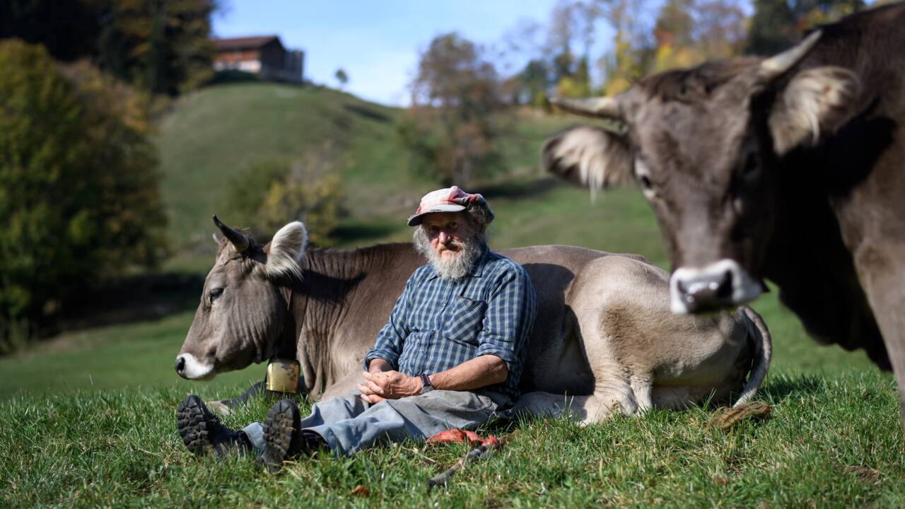 La Suisse dit non au soutien des "vaches à cornes"