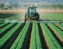 Pesticides : définition, utilisation et alternative