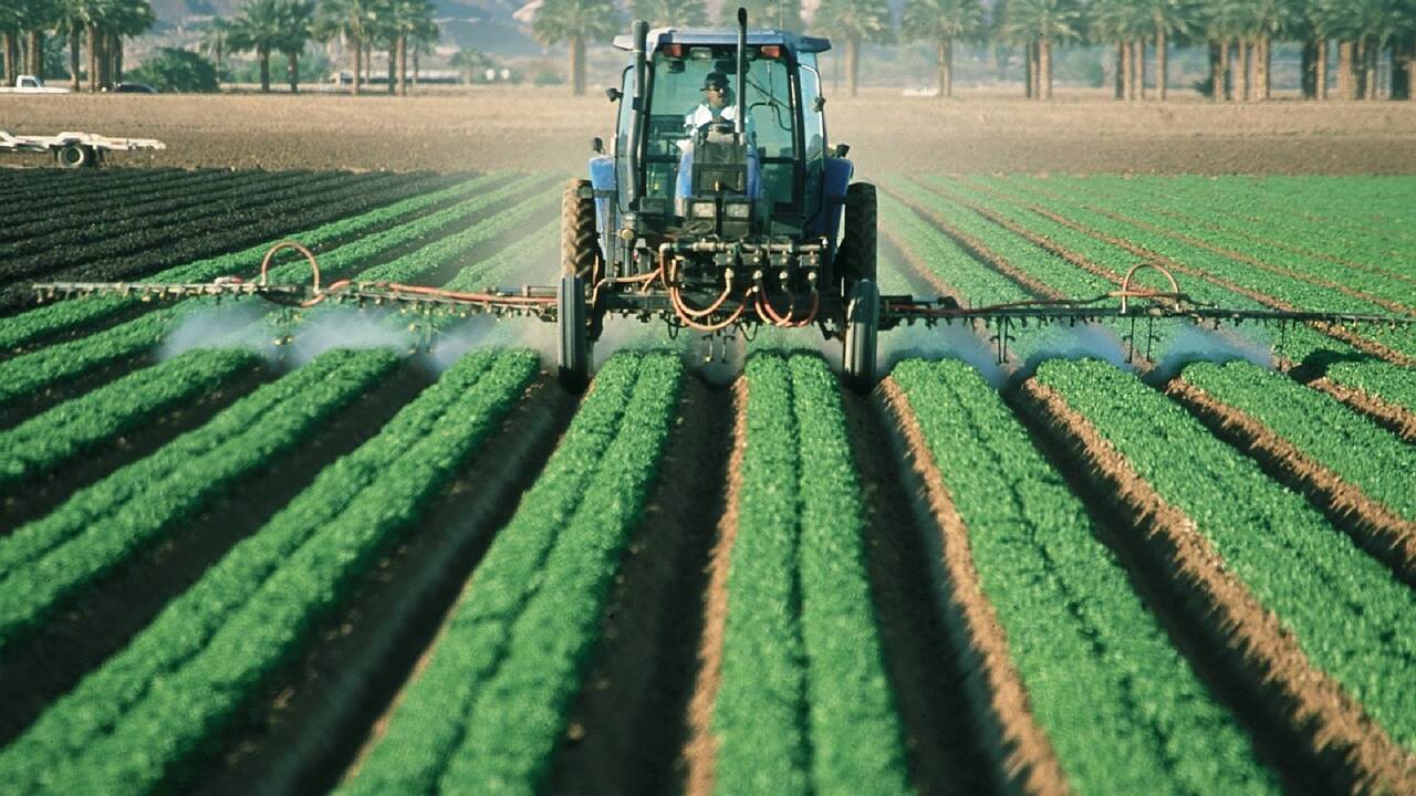 Pesticides : définition, utilisation et alternative