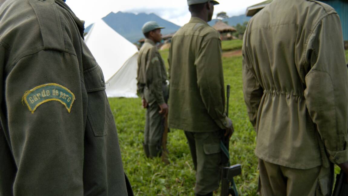Est de la RDC: au moins un mort dans le parc des Virunga
