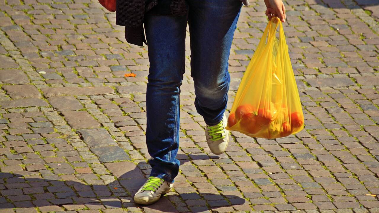 L'Australie a réduit de 80% son usage des sacs plastiques en à peine trois mois