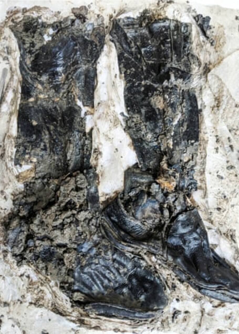 A Londres, un squelette vieux de 500 ans découvert avec ses bottes en cuir près de la Tamise